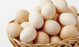 毛鸡蛋是什么意思 毛鸡蛋是什么