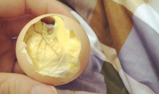 鸡蛋怎么做出毛蛋的味道 鸡蛋怎么做出毛蛋