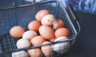 鸡蛋的营养价值及功效 鸡蛋的营养价值及功效和禁忌