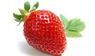 草莓的种植方法及时间是多长 草莓的种植方法及时间是多长时间呢
