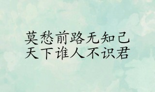 天下谁人不识君的上一句 天下谁人不识君的上一句 莫愁前路无知己意思