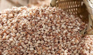 高粱米的功效 高粱米的功效与作用