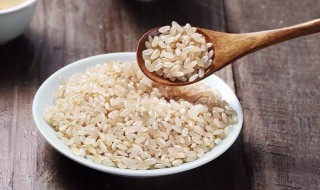 大米的热量 糙米的热量