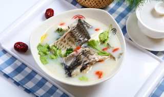 鲶鱼汤的家常做法 鲶鱼汤怎么做才能好吃呢