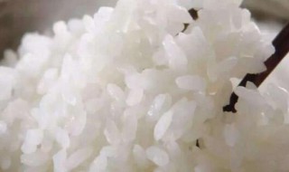 蒸米饭可以放葡萄干吗 蒸米饭可以放葡萄干吗为什么
