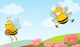 如何诱野蜜蜂 怎样诱捕野蜜蜂