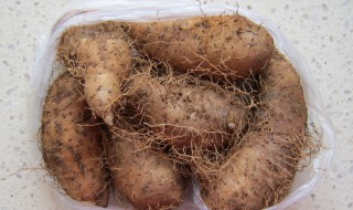 毛薯的功效和作用大全 毛薯和山药哪个营养价值高