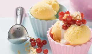 各种水果冰淇淋的做法 各种水果冰淇淋的做法
