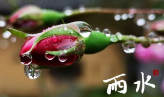 雨水的习俗 雨水的风俗有哪些