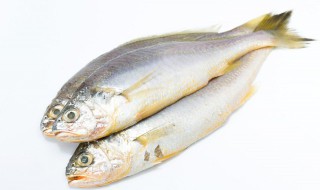 草鱼营养价值及功效与作用 草鱼营养价值及功效与作用图片