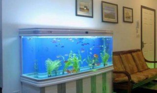 鱼缸放在客厅什么位置最好 示意图 鱼缸放在客厅什么位置最好