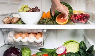 哪些食物不宜存放在冰箱中储存 哪些食物不适宜放在冰箱中