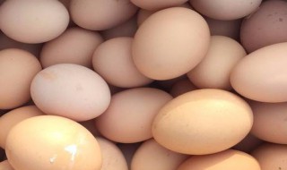 鸡蛋新鲜的表现 鸡蛋很新鲜的新鲜是什么意思