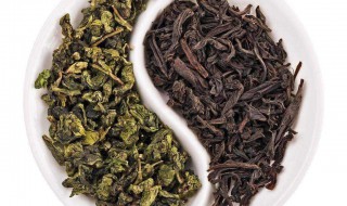 如何选购茶叶 如何选购茶叶或选茶时需要注意哪些方面?