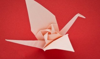 千纸鹤的折法 教程 千纸鹤的折法