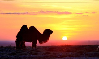 什么的夕阳 什么的夕阳形容词