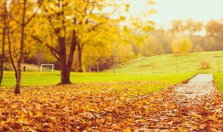 描写秋天的景色 描写秋天的景色优美句子
