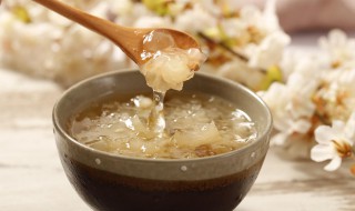 牛奶桃胶雪燕皂角米的做法 桃胶雪燕皂角米的做法