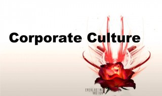 culture可数吗 中国文化culture可数吗