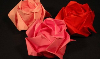 怎么折玫瑰花 怎么折玫瑰花用卫生纸