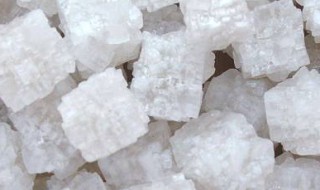 盐的化学性质 盐的化学性质教案