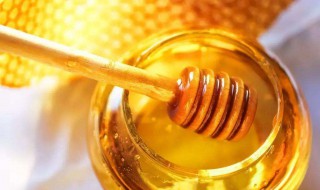 蜂蜜的知识点有哪些内容 蜂蜜的知识