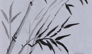 水墨画竹子的画法及注意事项 水墨画竹子的画法