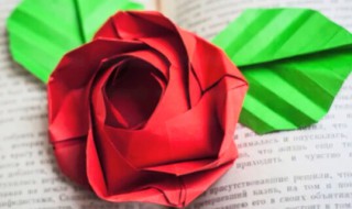 纸折玫瑰花的做法 纸折玫瑰花的方法