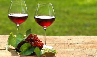 葡萄酒的做法自酿全过程图片 葡萄酒的做法自酿