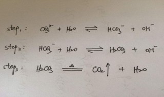 碳酸钠水解方程式怎么写 碳酸钠水解方程式怎么写的