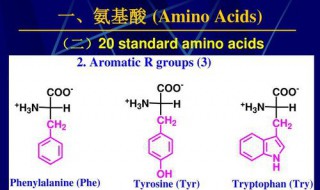 氨基酸的种类数目排列顺序不同 氨基酸的种类