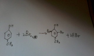苯酚与溴水反应的方程式 苯酚与溴水反应的方程式和现象