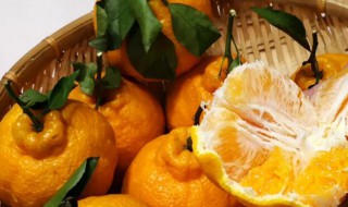 丑橘和粑粑柑哪个更好? 丑橘粑粑柑区别