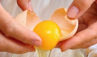 蛋简单家常做法 蛋的简单做法大全