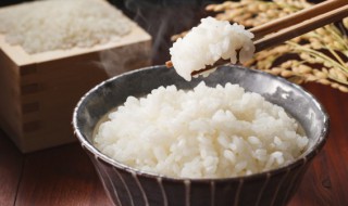 鲜香菇米饭的做法 鲜香菇米饭的做法窍门
