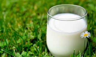 鲜牛奶怎么喝 鲜牛奶怎么喝?