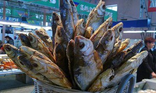 鲱鱼的腌制方法 鲱鱼的腌制方法视频