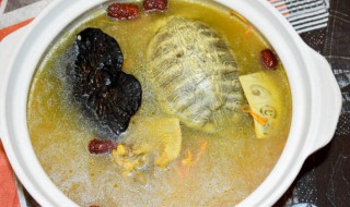 乌龟汤的功效和作用 乌龟汤的功效禁忌人群