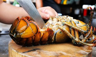 波士顿龙虾头的做法大全 波士顿龙虾虾脑能吃不