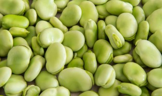 蚕豆是酸性食物还是碱性食物（蚕豆是碱性食品还是酸性食品）