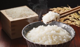 剩米饭怎么做粥好吃 剩米饭怎么做粥