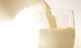 酒后可以喝牛奶吗 喝酒后喝纯牛奶还是酸奶