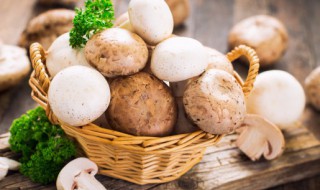 孜然蘑菇的家常做法 椒盐蘑菇怎么做酥脆