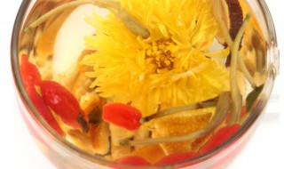 金银花菊花茶的功效与作用 金银花加菊花泡水喝的功效和作用
