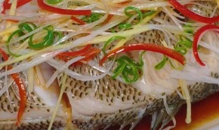淡水鲈鱼和海鲈鱼哪个好吃 淡水鲈鱼怎么做好吃