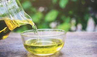 油橄榄果油的功效与作用 油橄榄果油的功效与作用点