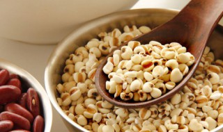 红豆薏米的功效与作用及食用方法 红豆薏米的功效与作用