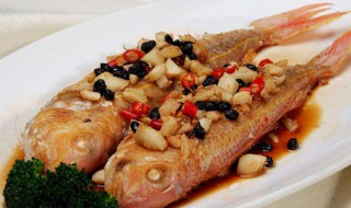 金线鱼多少钱一斤 金线鱼怎么做好吃