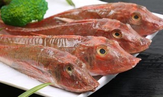 红娘鱼的做法大全 红娘子鱼怎么做好吃