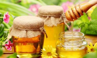 蜂蜜美容护肤小窍门 蜂蜜美容护肤小窍门有哪些